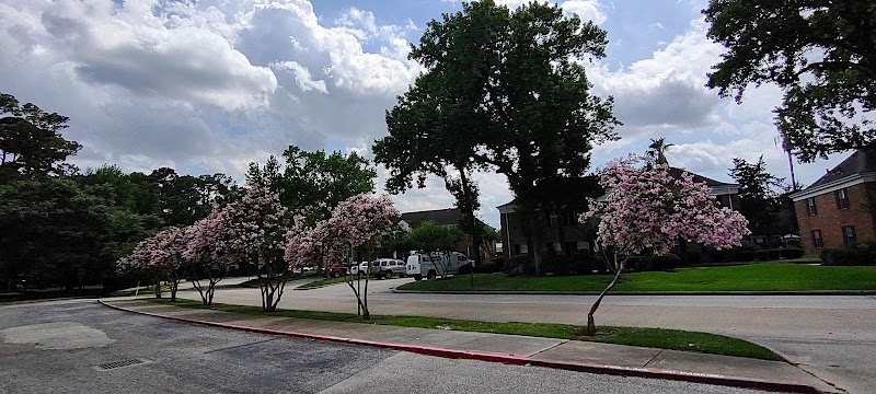 Harris County Public Library - Spring Branch Memorial Library - Photo 10