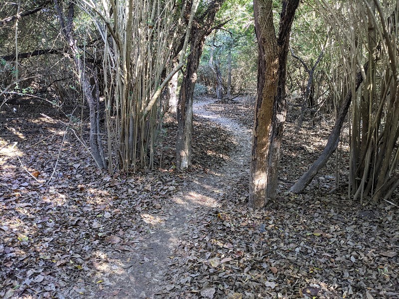 Harry S Moss Park - Photo 10