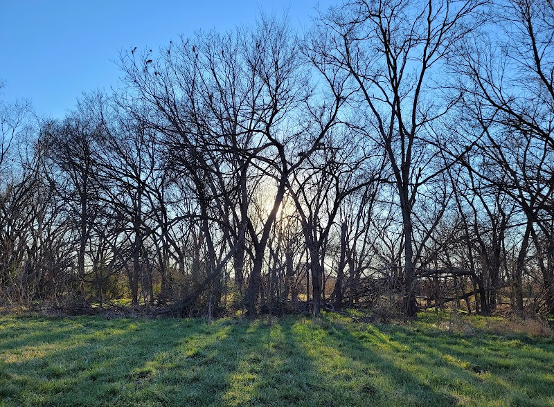 Harry S Moss Park - Photo 5