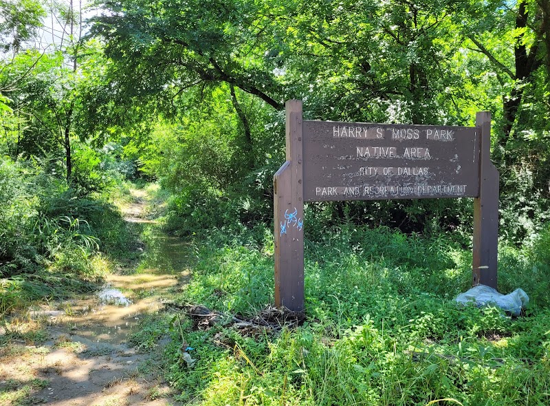 Harry S Moss Park - Photo 9