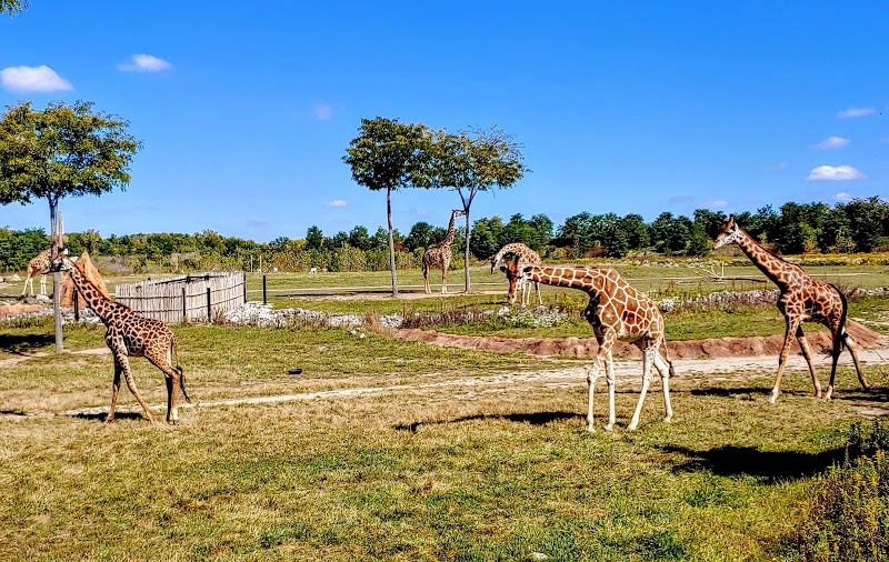 Heart of Africa