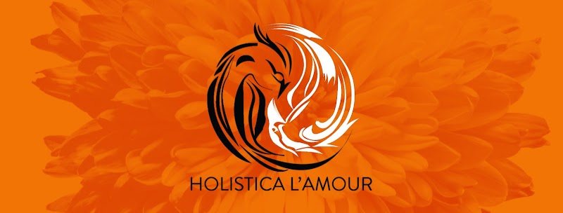 HOL'A GALLERY BY JULIETA IBRAHIM