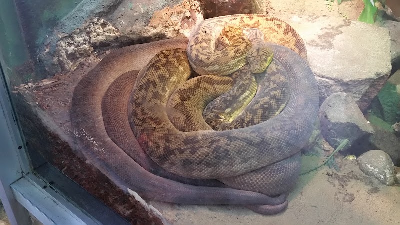 Holden Reptile Conservation Center
