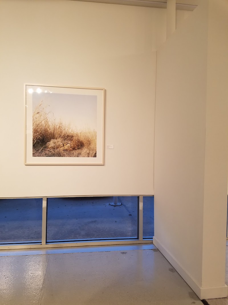 Houston Center For Photography - Photo 6
