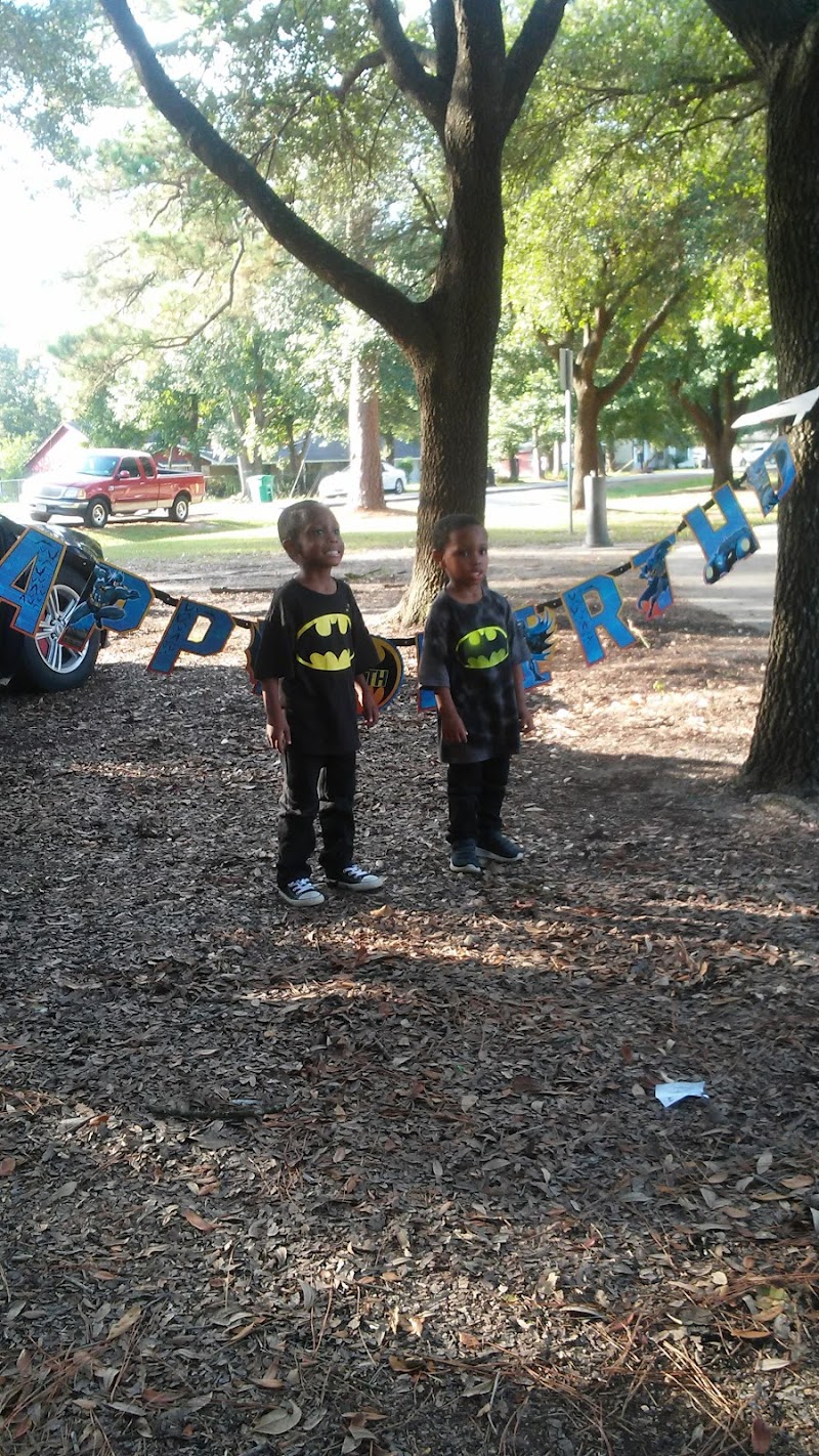 Houston Gardens Park - Photo 4