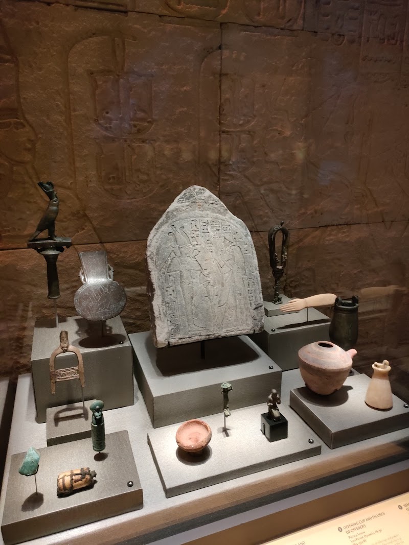Houston museum of natural History - Photo 10