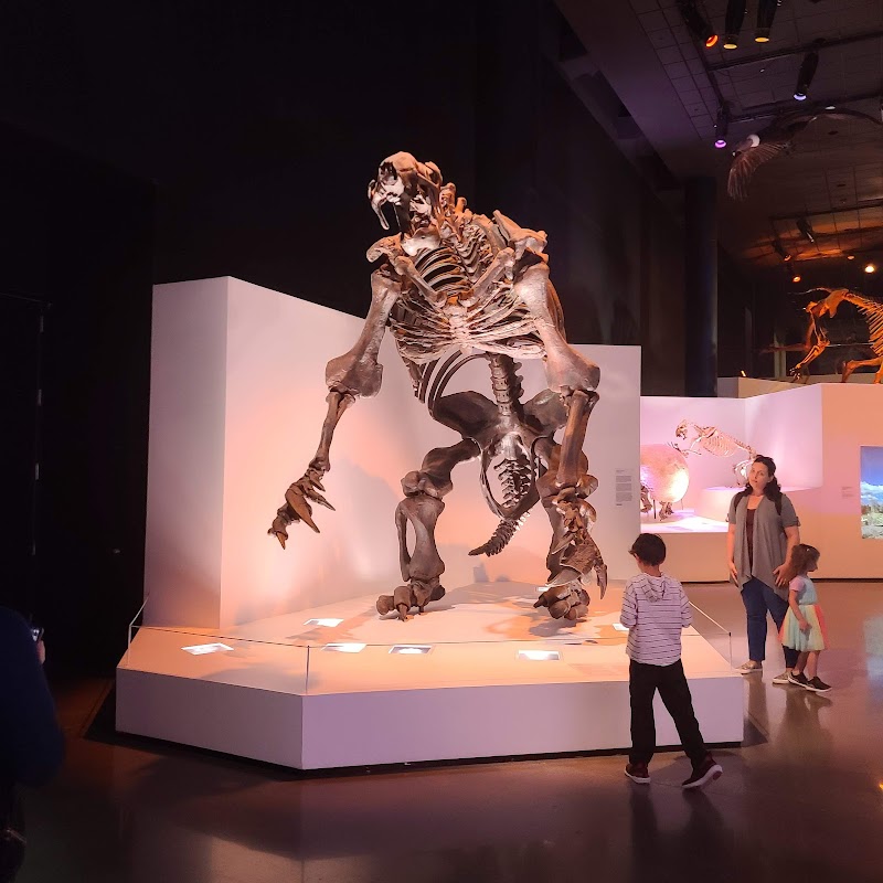 Houston Museum of Natural Science - Photo 10