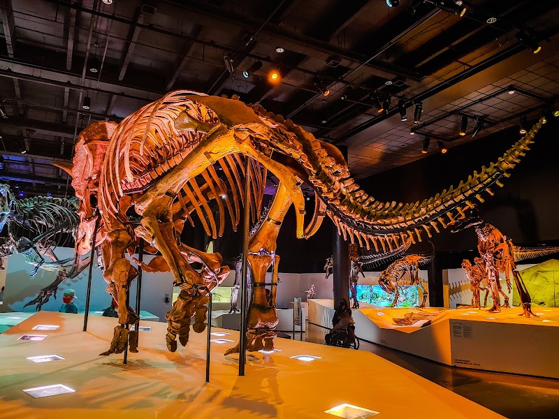 Houston Museum of Natural Science - Photo 2