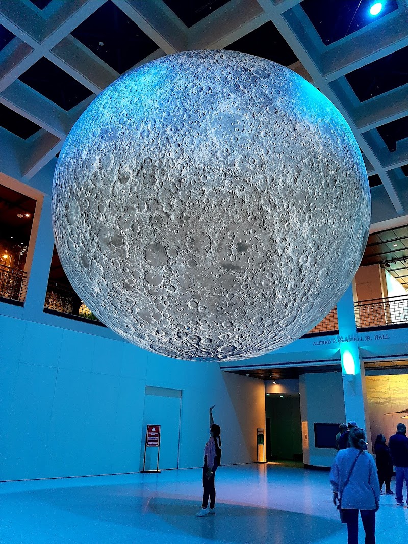 Houston Museum of Natural Science - Photo 5
