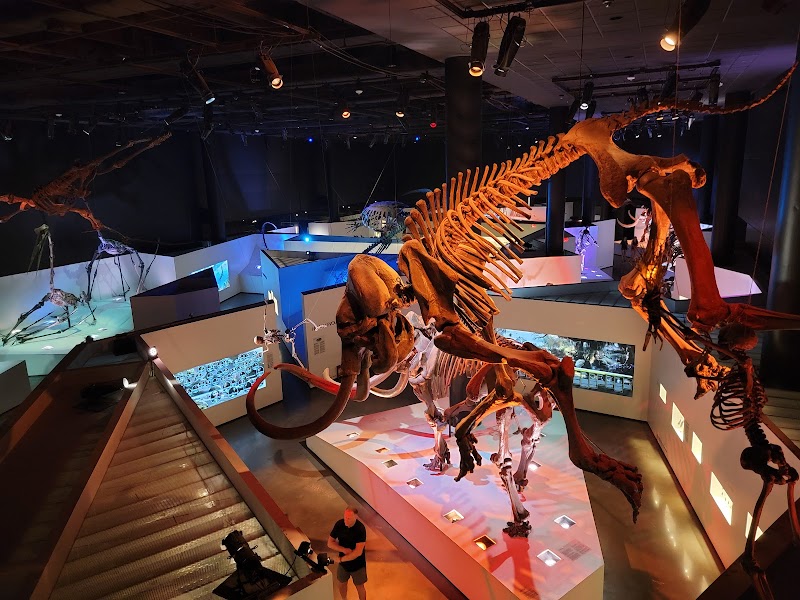 Houston Museum of Natural Science - Photo 6