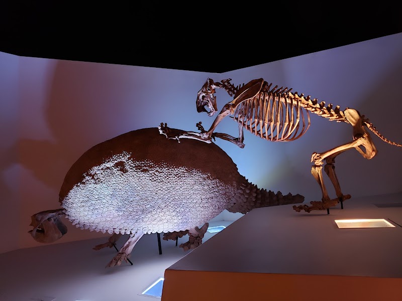 Houston Museum of Natural Science - Photo 8