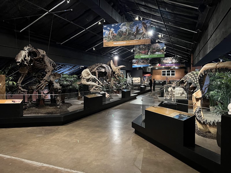 Houston Museum of Natural Science at Sugar Land