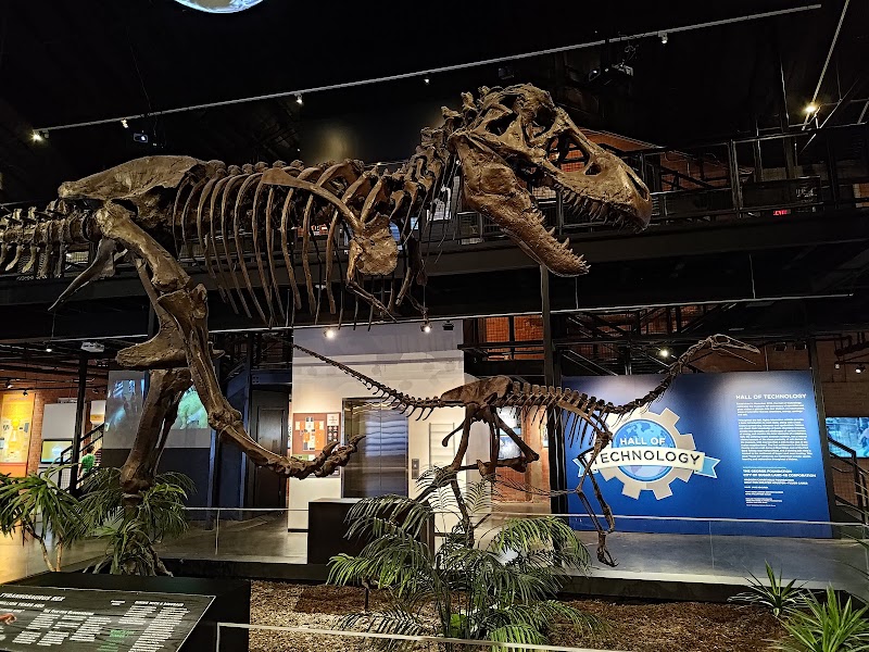 Houston Museum of Natural Science at Sugar Land - Photo 2