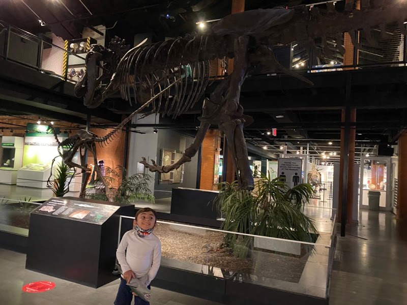 Houston Museum of Natural Science at Sugar Land - Photo 3