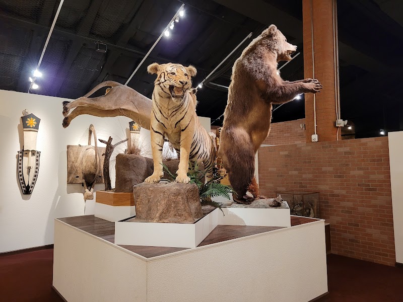 Houston Museum of Natural Science at Sugar Land - Photo 7