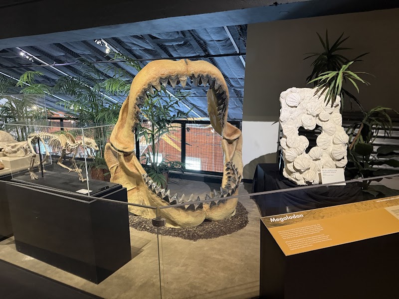 Houston Museum of Natural Science at Sugar Land - Photo 9