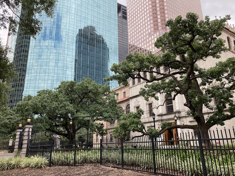 Houston Public Library Foundation - Photo 8