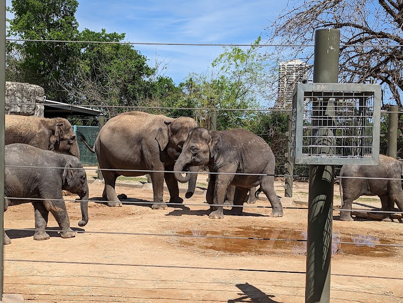 Houston Zoo - Photo 2