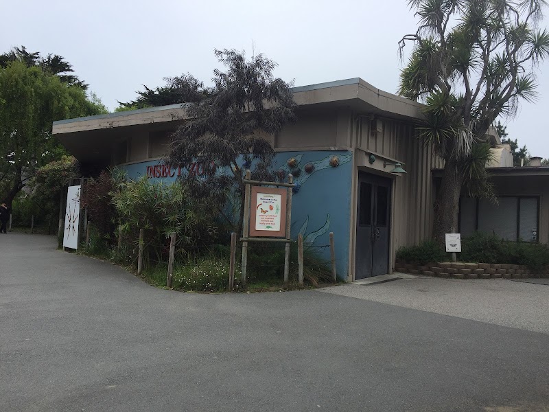 Insect Zoo