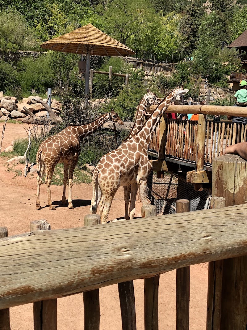 International Center for the Care & Conservation of Giraffe