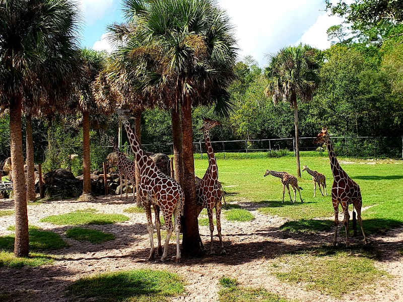 Jacksonville Zoo and Botanical Gardens