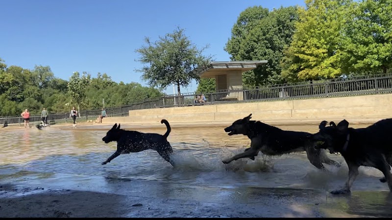 Johnny Steele Dog Park - Photo 10