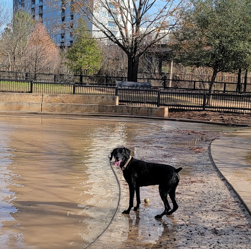 Johnny Steele Dog Park - Photo 8