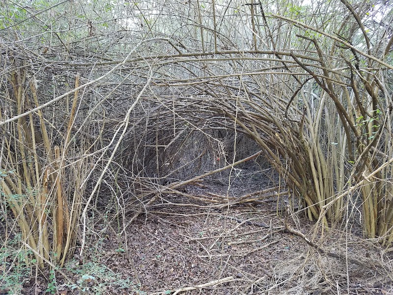 Joppa Preserve - Dallas County Nature Preserve - Photo 10