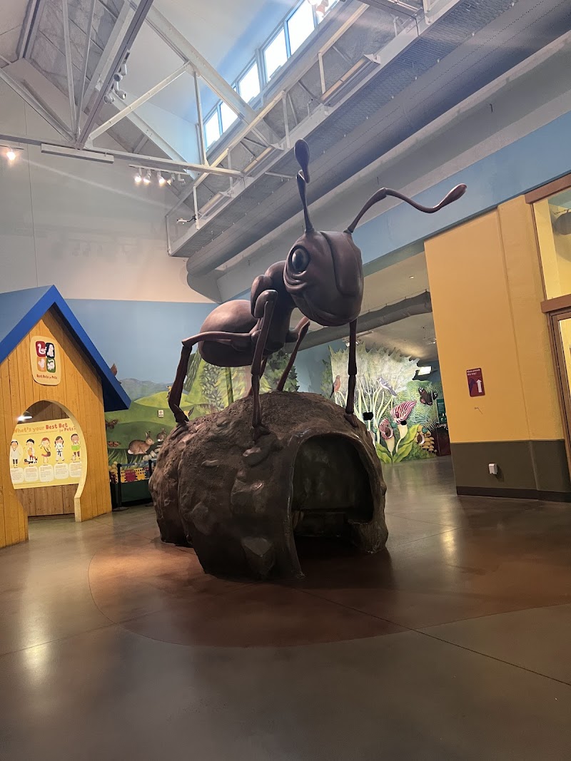 KidZooU
