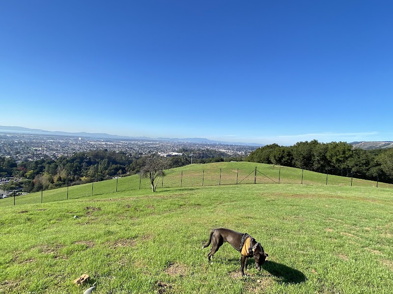 Knowland Park Open Space