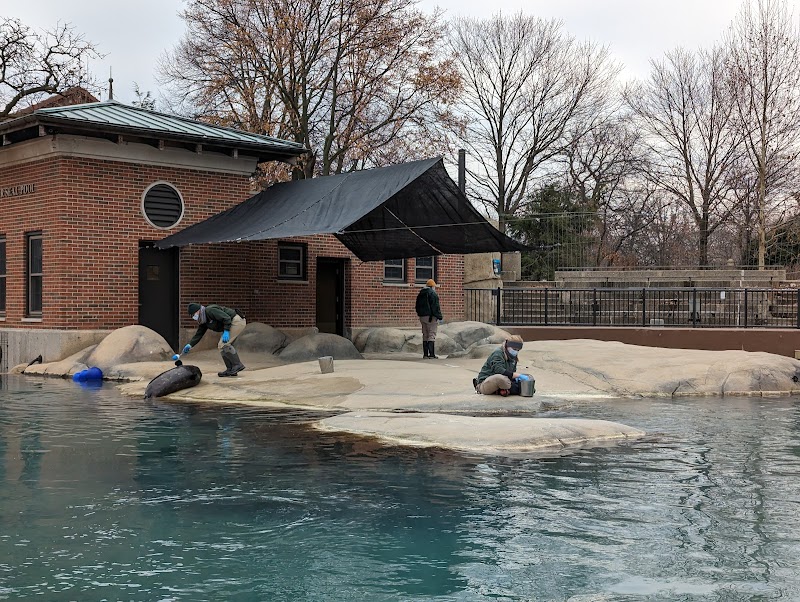 Kovler Seal Pool