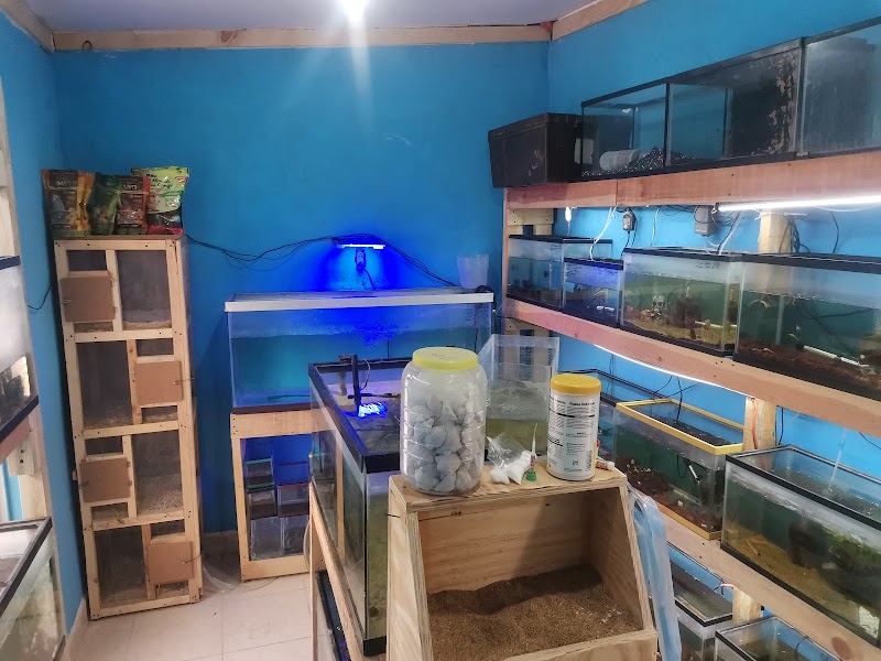 LA CASA DE LOS PECES