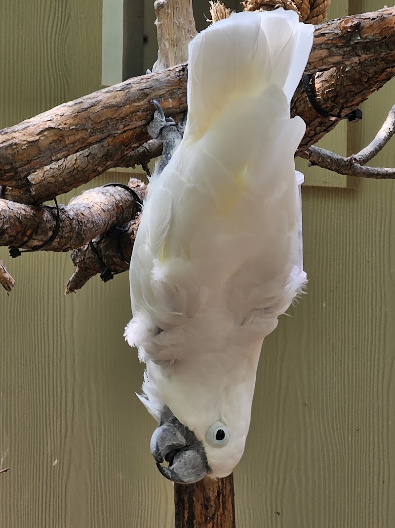Lacerte Family Children's Zoo