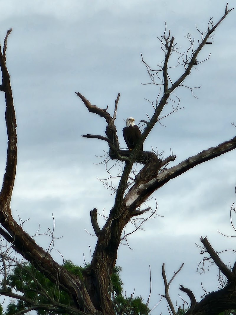 Lake Highlands Park - Photo 10