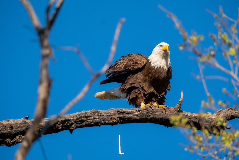 Lake Highlands Park - Photo 6