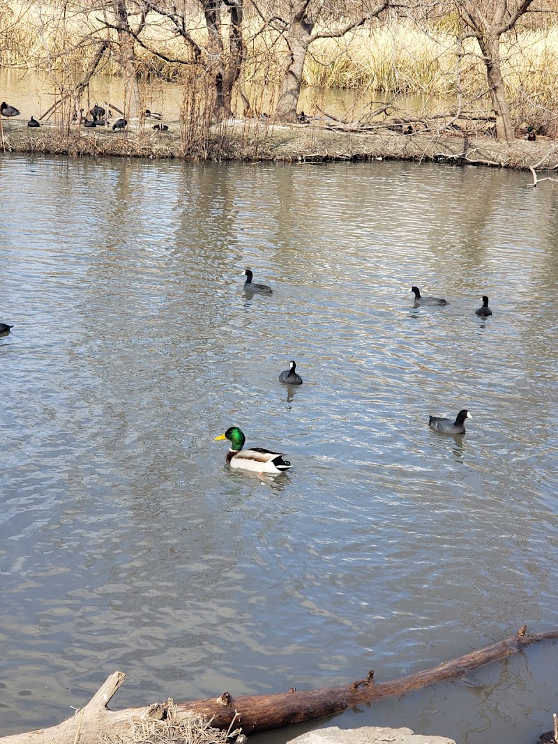 Lake Highlands Park - Photo 7