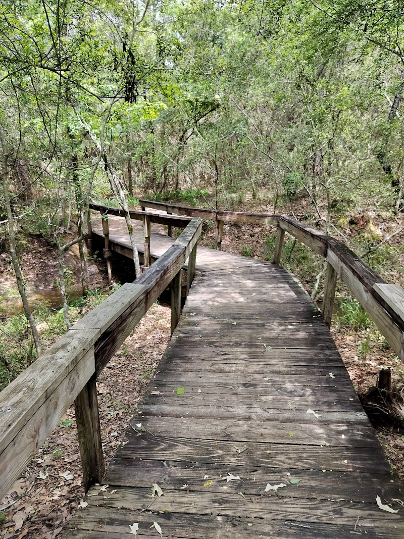 Lake Houston Wilderness Park - Photo 10