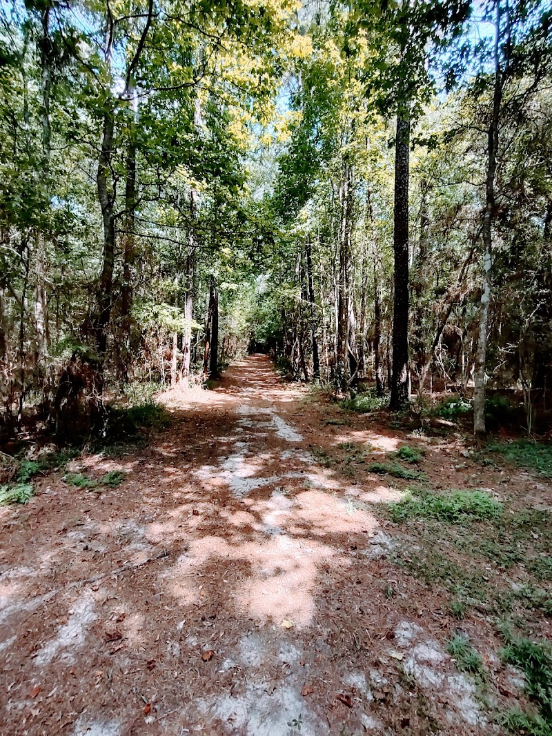 Lake Houston Wilderness Park - Photo 5
