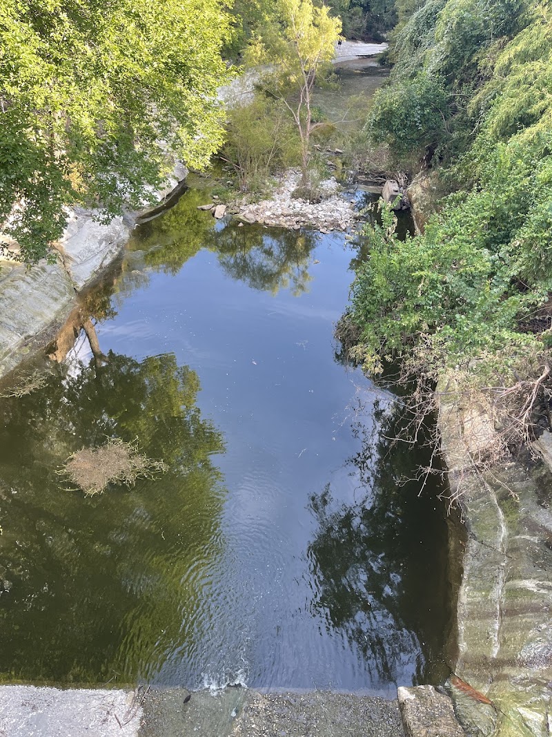 Lakeside Park - Photo 5