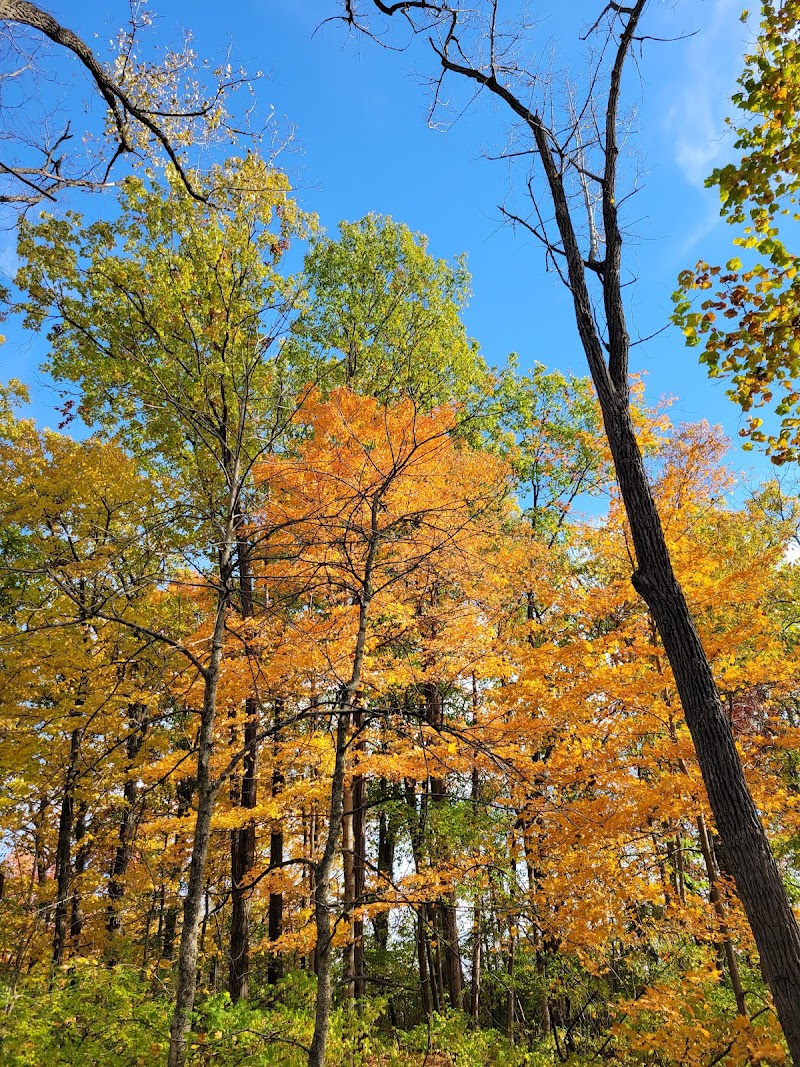 Lee Road Park