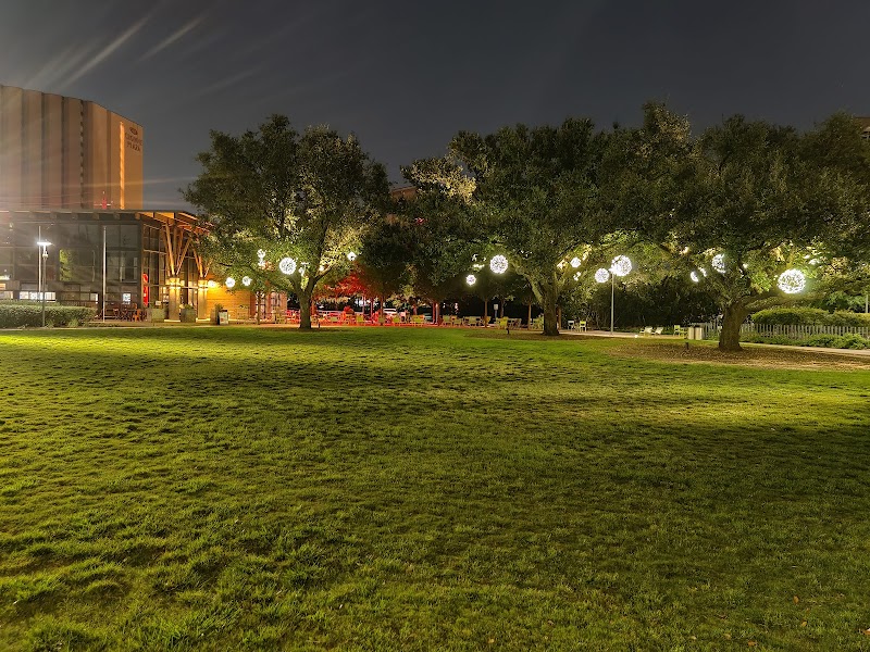 Levy Park - Photo 10