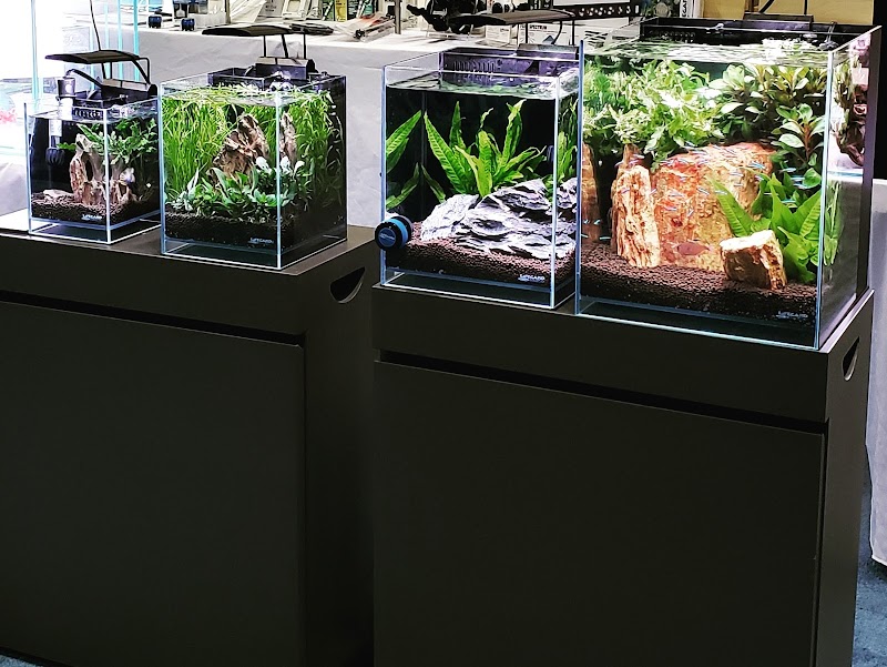 Lifegard Aquatics