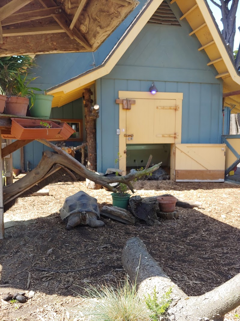 Little Learners Cabin at the San Francisco Zoo