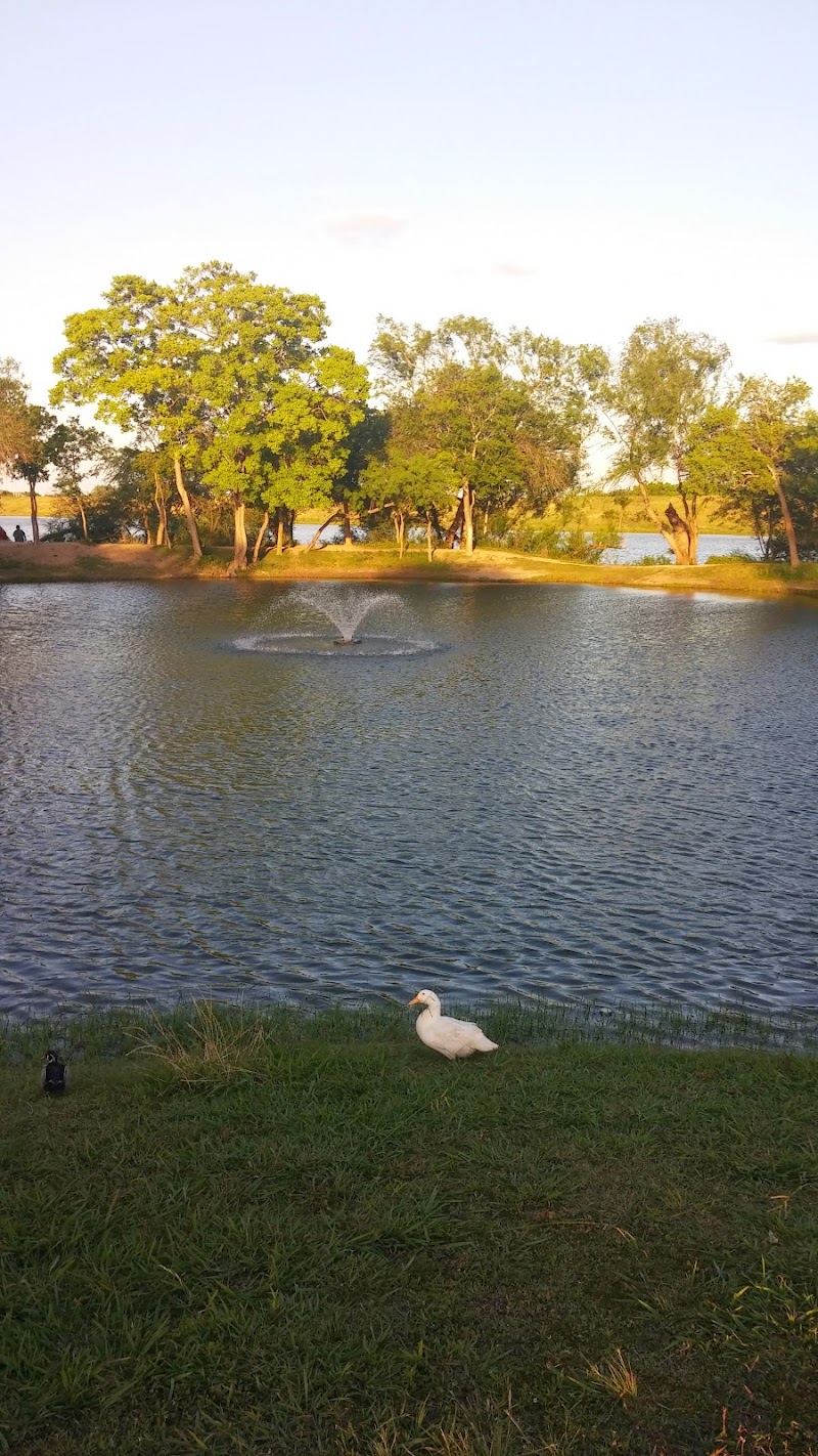 Live Oak Park
