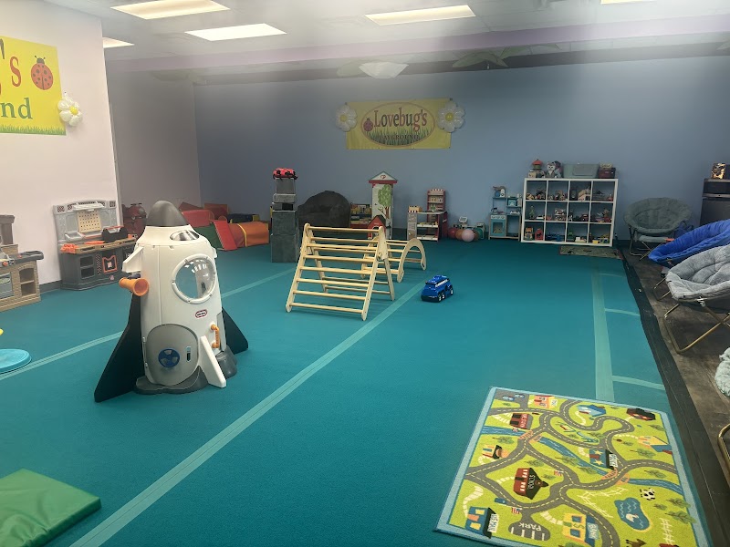 Lovebug's Playground - Photo 3