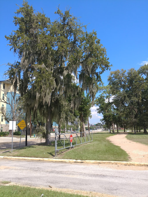 MacGregor Park - Photo 9