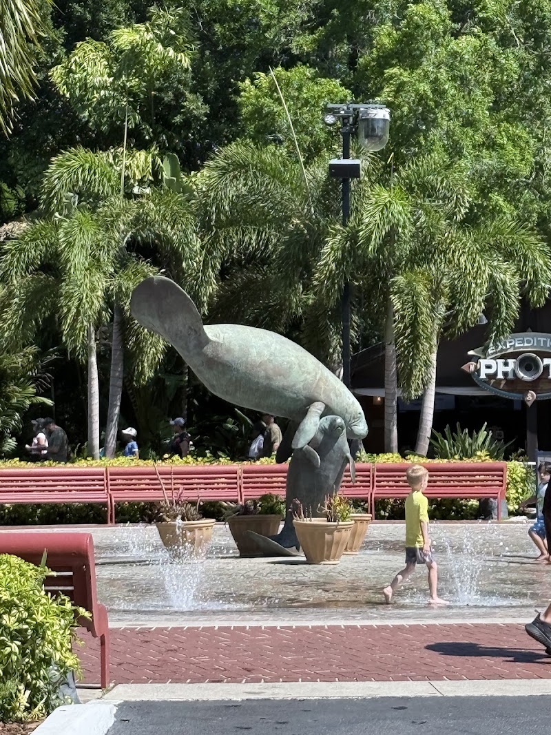 Manatee Statue Splash Pad