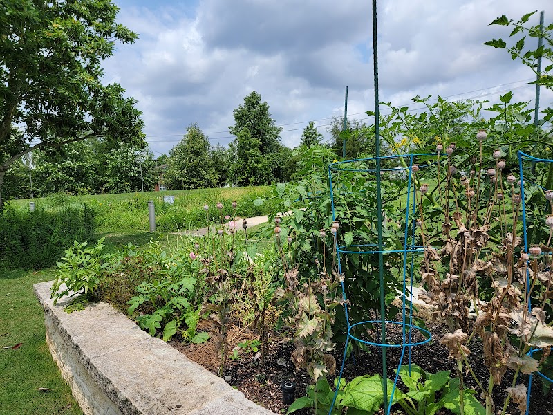 Mandell Park - Photo 7