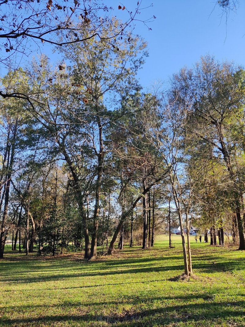 Mason Park - Photo 7