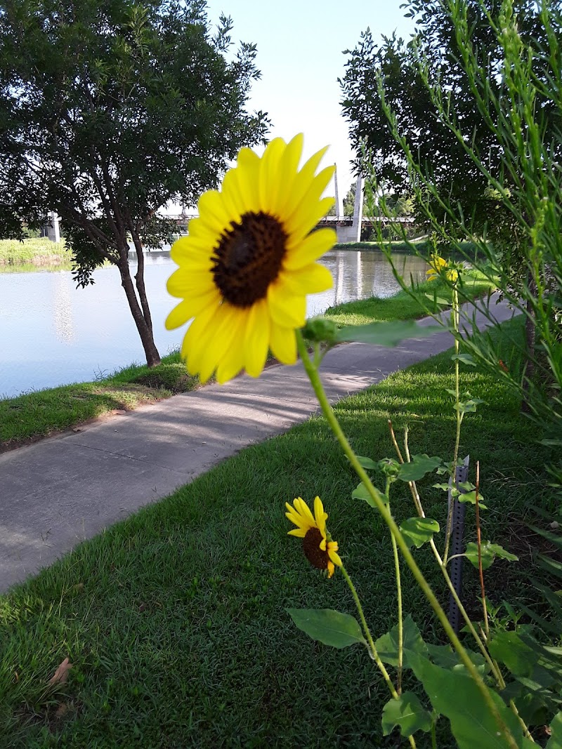 Mason Park - Photo 8